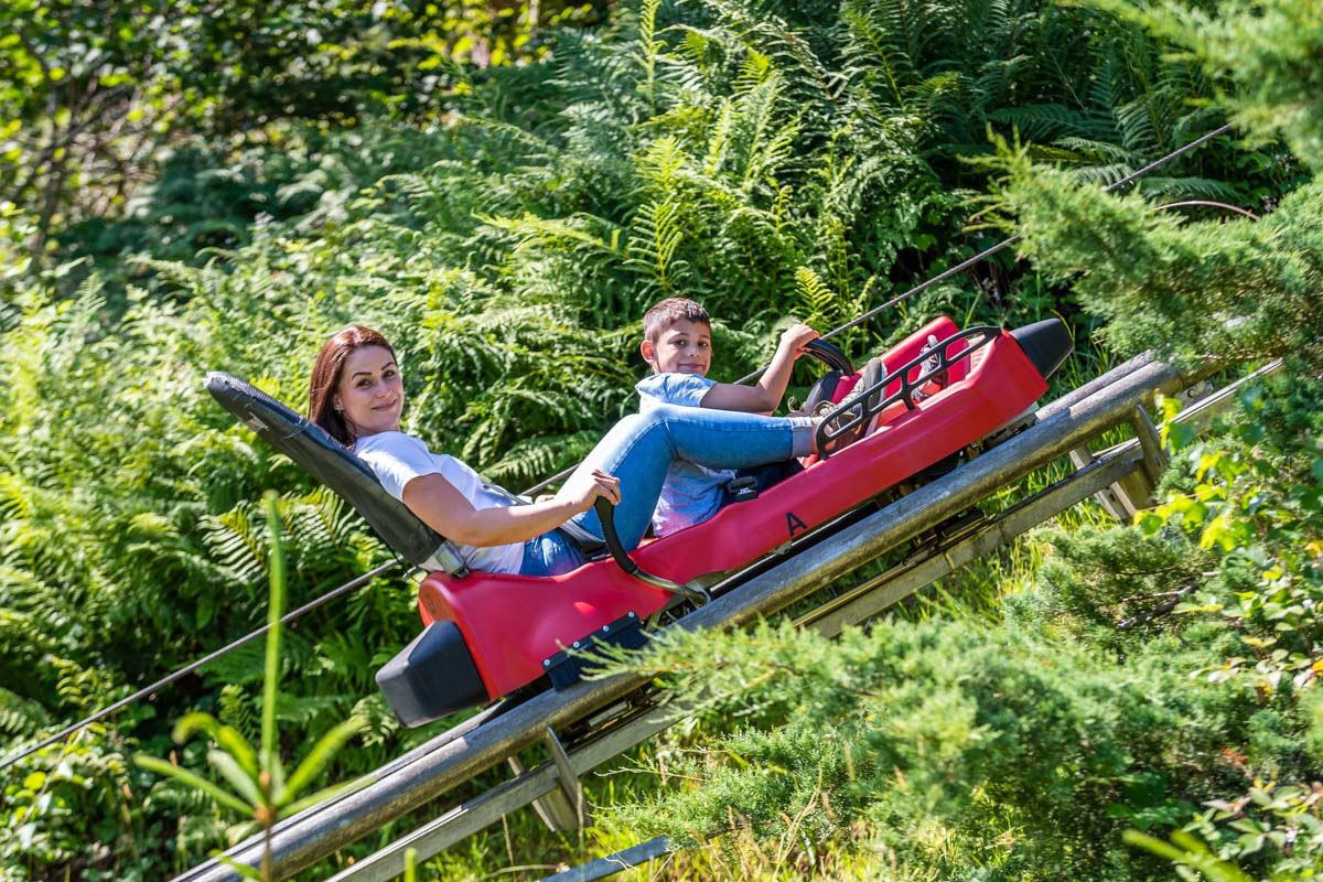 Sommerrodelbahn in Gutach