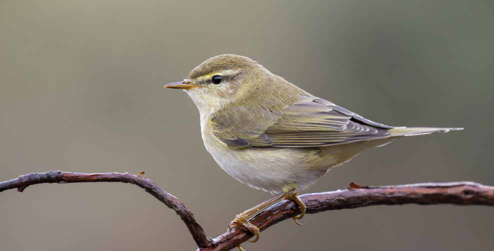 Vogelpark Olching bei München