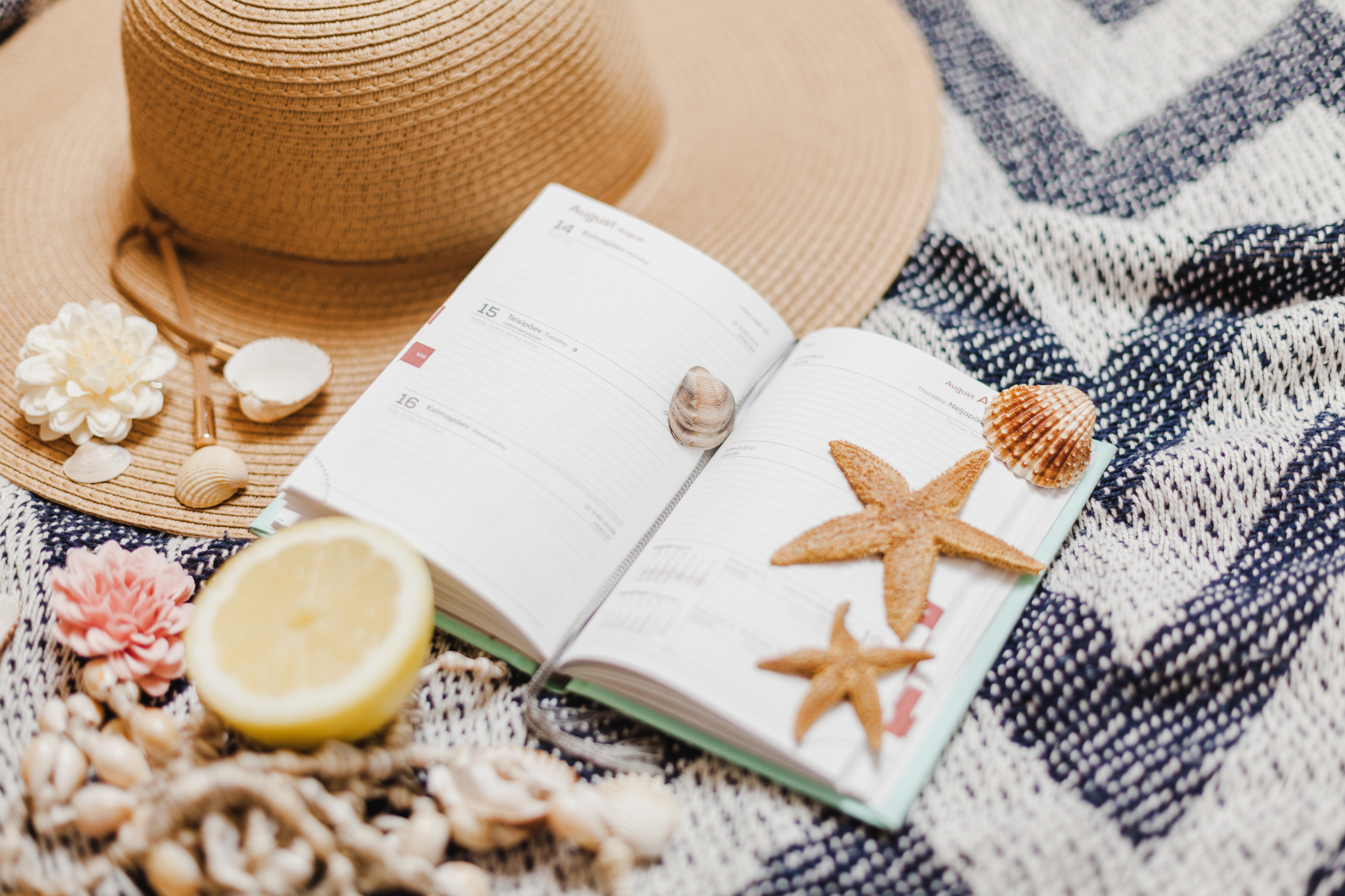 voiio Sommerferienplan